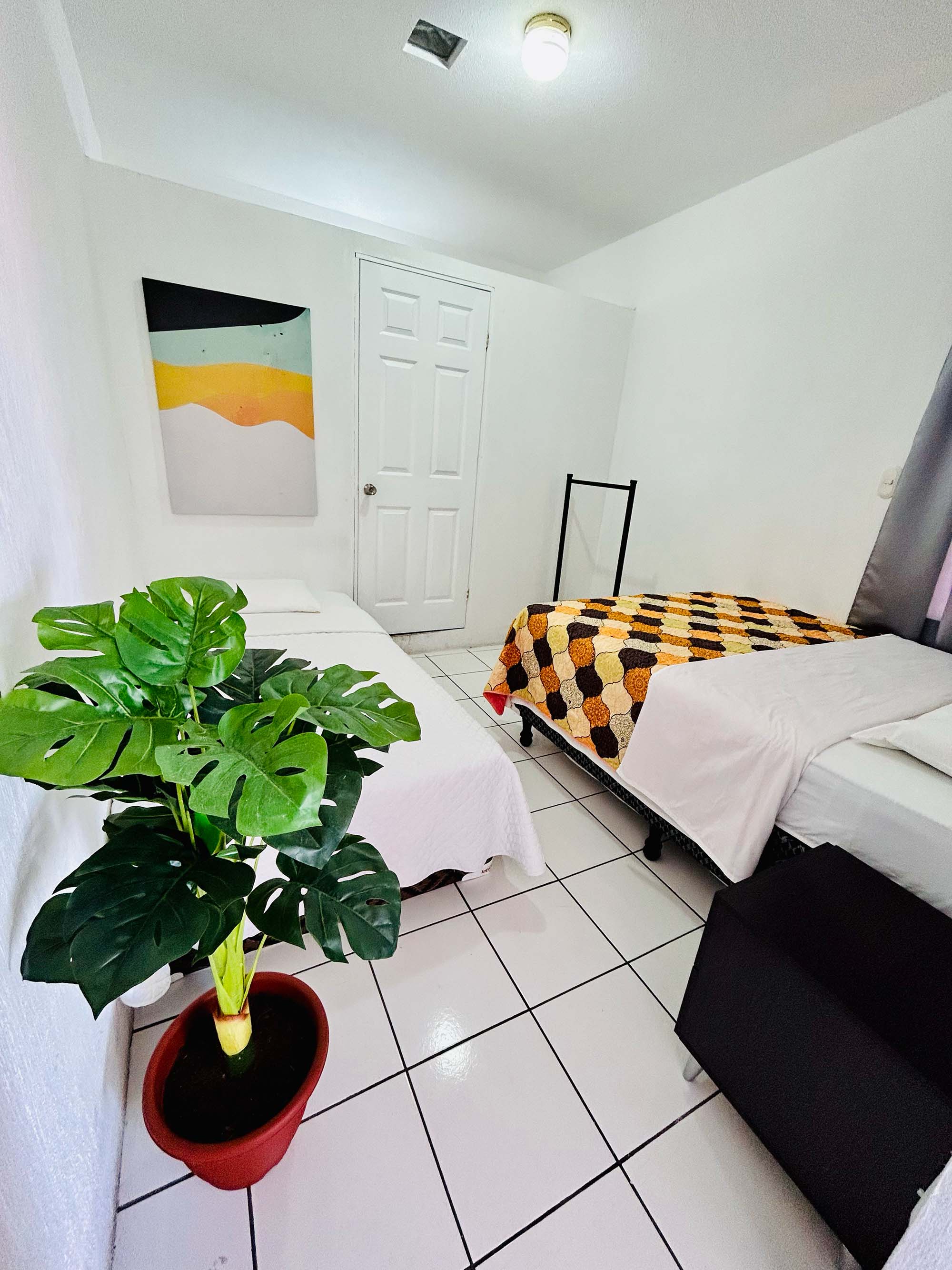 Habitación amplia con planta monstera